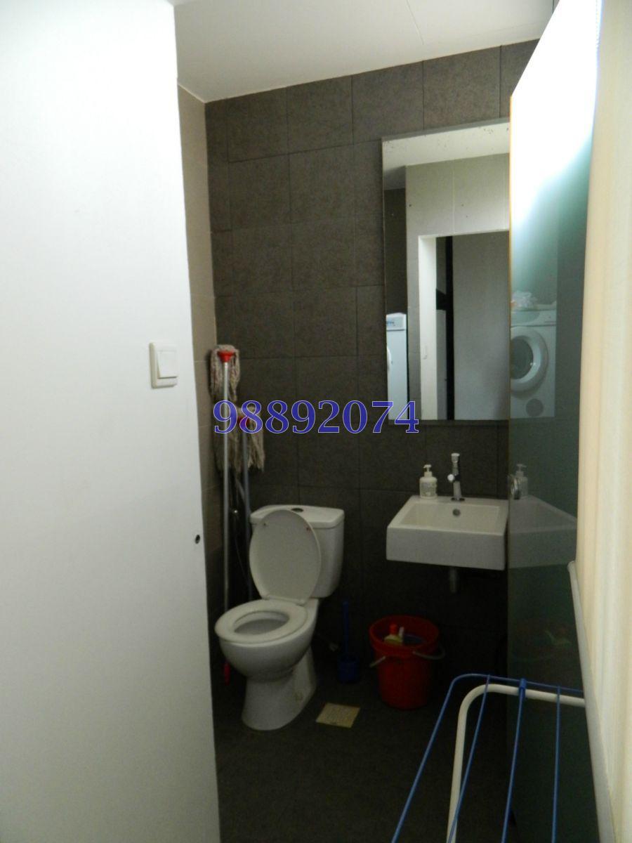 Eastern Lagoon (D15), Condominium #87248792